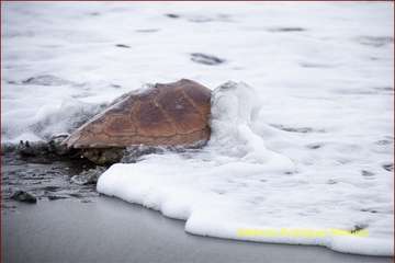 Ruta por la costa en memoria de José Luis González Ruano (Foto Ildefonso Rodríguez y TA)